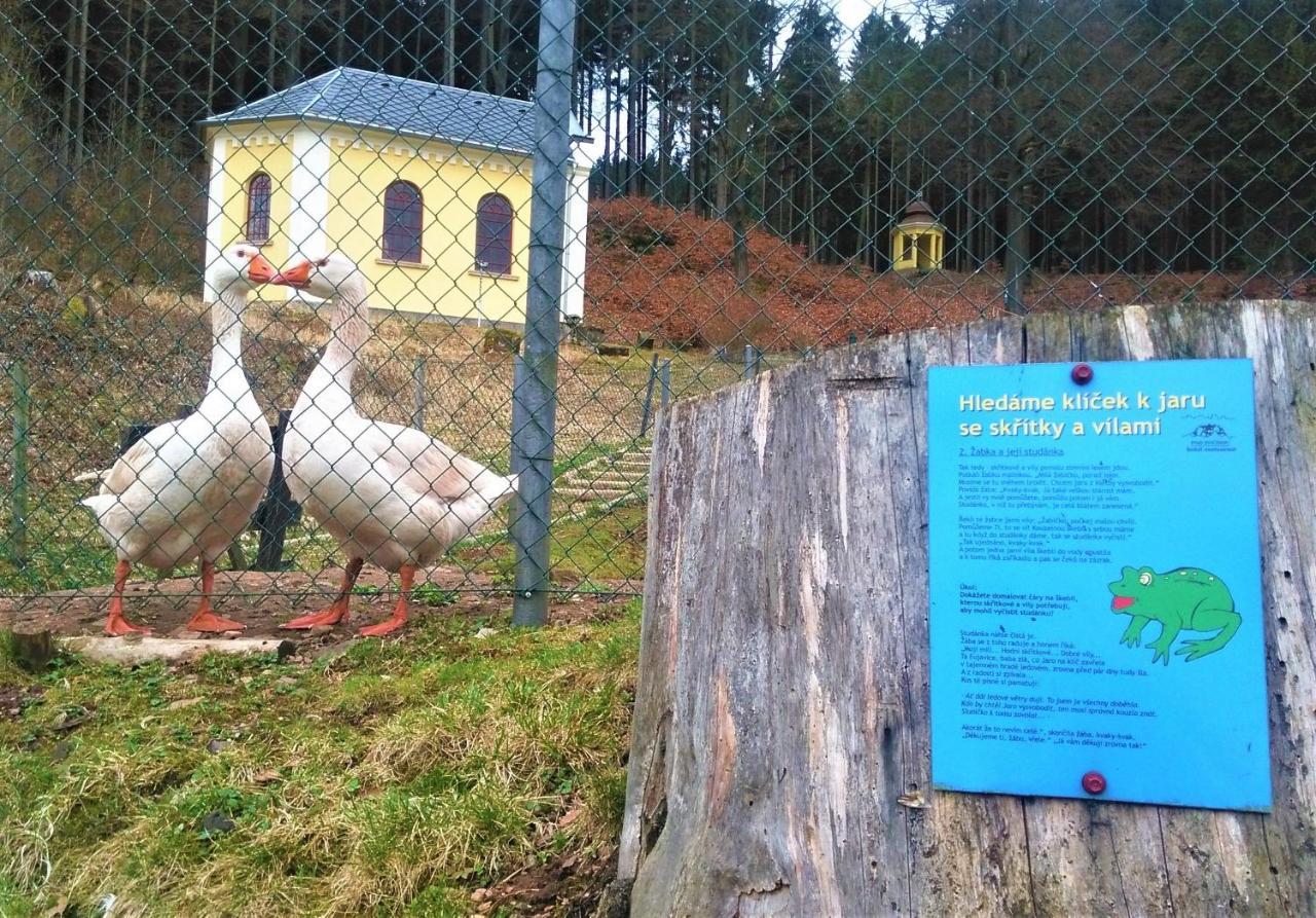 Retro Hotel Pod Zvicinou Bílá Třemešná Exteriör bild